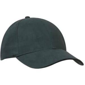 A dark green cap with a curved brim and a rounded crown, featuring a logo on the front.
