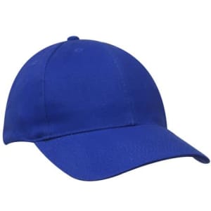 A blue cap with a curved peak, featuring a logo on the front. The fabric appears smooth and durable.