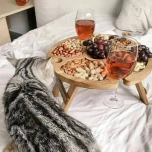 A folding picnic table with wine glass holders, featuring assorted nuts and grapes, set on a bed, with a cat nearby.