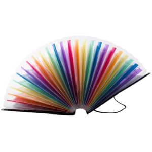 A 24 pocket expanding file organiser with a black cover and brightly coloured, transparent pockets.