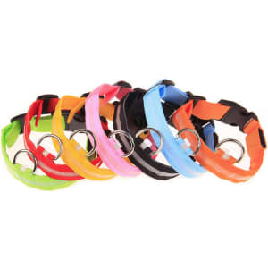 A collection of LED dog collars in various colours including pink, blue, orange, green, and black, each featuring a metal ring.