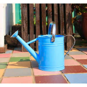 A blue watering can with two handles, featuring a long spout and a rounded body, set against a colourful tiled background.