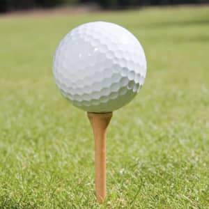 A white golf ball on a wooden tee, sitting on green grass. The image features a blurred background of foliage.
