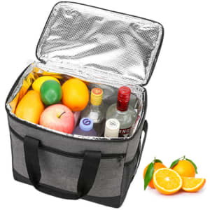A grey portable outdoor picnic bag filled with various fruits and drink bottles, with oranges displayed beside it.