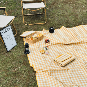 A yellow gingham picnic blanket spread on grass, surrounded by picnic items, a chair, and a framed artwork.