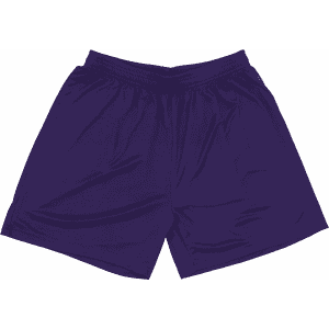 A pair of purple shorts with an elastic waistband and a smooth fabric. The item has a logo on one side.