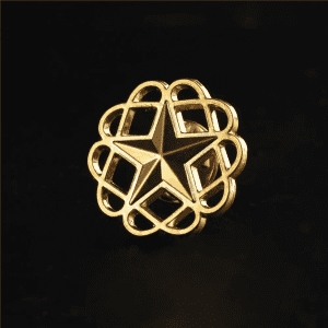A gold enamel lapel pin featuring a star design within a decorative scalloped border.