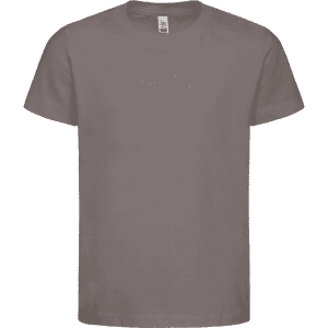 A grey kids' essential T-shirt featuring short sleeves and a simple design, including a logo on the tag.