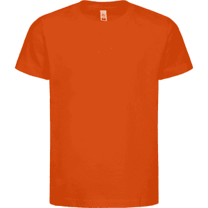 An orange kids' t-shirt with short sleeves, featuring a tag and a plain design.