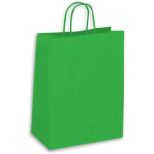 A large green kraft paper bag with two handles and no visible branding.