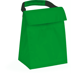 A green cooler bag with a black grip handle and a flap top. It features a logo on the front.
