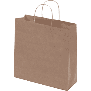 A large brown kraft paper bag with twisted paper handles, featuring a simple design.