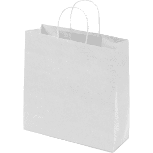 A large white Kraft paper bag with twisted paper handles, featuring a simple design.