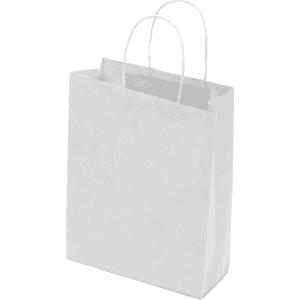 A small white kraft paper bag with twisted paper handles and a minimalist design.
