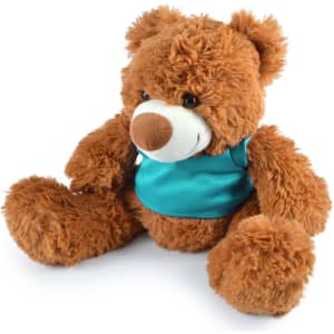 A brown plush teddy bear with a turquoise shirt, featuring soft, fluffy fur and large paws.