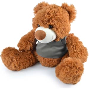 A plush teddy bear named Coco, featuring soft brown fur and a gray vest.