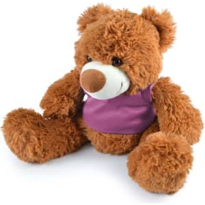 A plush teddy bear named Coco, featuring a fluffy brown exterior and wearing a purple vest.