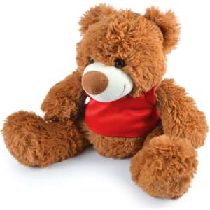 A plush teddy bear with a brown fur coat and a red vest, featuring a round snout and large paws.