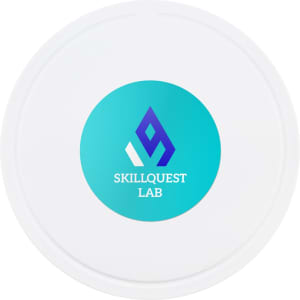 A white circular game disc featuring a blue and teal logo with the text "Skillquest Lab."