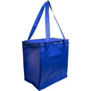 A blue cooler bag features sturdy handles and a zippered top. The bag has a front pocket for additional storage.