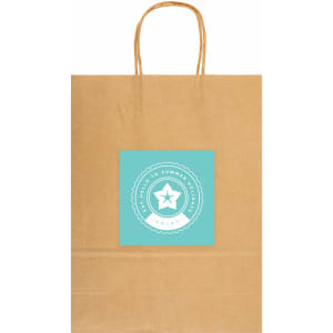 A large brown paper bag with a light blue logo in the centre and handles.