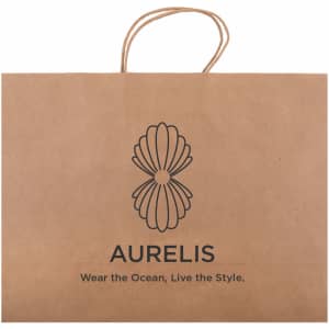 A large brown paper bag with a decorative logo and handles for carrying items.