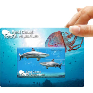 A promotional credit card-shaped flash drive featuring a blue underwater scene with sharks and jellyfish, including a logo.