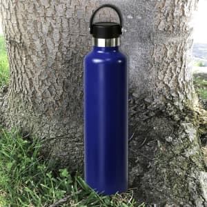 A drink bottle in vibrant blue stainless steel with a black lid and handle, set against a tree trunk.