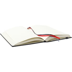 An open black diary with white pages and a red and blue ribbon bookmark.