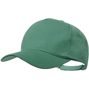 A green cap with a curved brim and an adjustable strap at the back. It has a plain design and no visible logos.