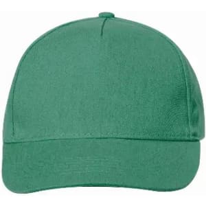 A green cap with a structured design and a curved brim, featuring a plain surface and no visible branding.