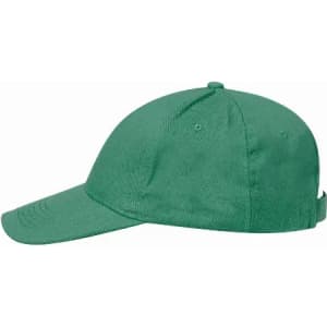 A green cap with a curved brim and adjustable strap at the back, featuring a logo on the front.