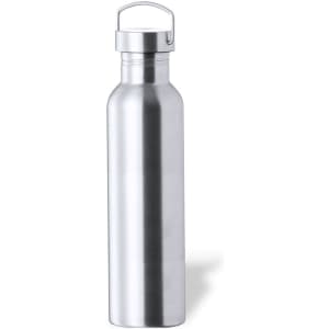 A drink bottle made of stainless steel with a metallic silver finish and a cap featuring a handle.