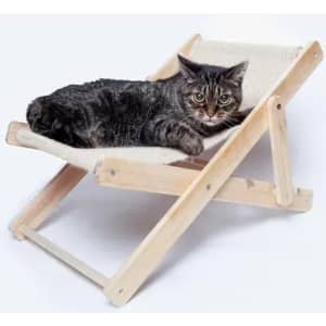 A cat lounging on a wooden folding chair with a fabric seat, featuring a natural colour scheme.