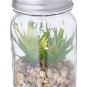A glass terrarium with a silver lid, featuring green plants and pebbles at the base.