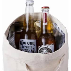 A drink bottle bag containing two glass bottles, one with a dark label and the other light, inside a fabric bag.
