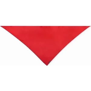 A red triangular bandana with a small logo in the corner.