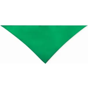 A green triangular bandana featuring a branding logo.