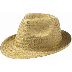 A straw hat with a wide brim and a light tan colour, featuring woven details and a casual style.
