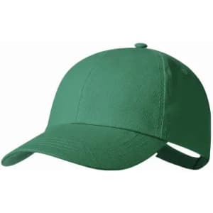 A green cap with a curved brim and adjustable strap at the back, featuring a logo on the side.