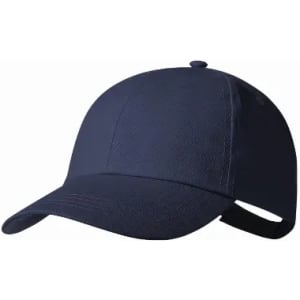 A navy blue cap with a curved brim and adjustable strap at the back. It features a flat crown design.