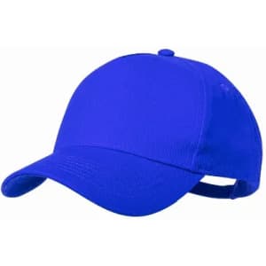 A blue cap with a curved brim and an adjustable strap at the back. It features a logo on the front.