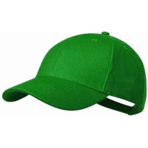 A green cap with a curved brim and an adjustable strap at the back. It features a simple design without logos.