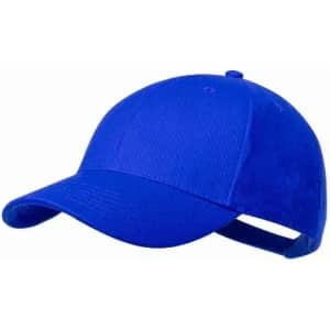 A blue cap with a curved brim and adjustable strap at the back. It features a simple design without embellishments.