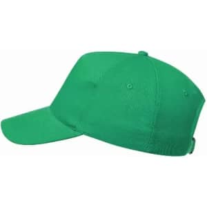 A green cap with a adjustable strap and a curved brim, featuring a logo on the front.