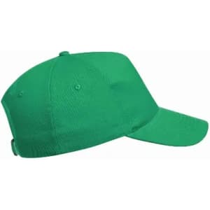 A green baseball cap with a curved brim and an adjustable strap at the back, featuring a logo.