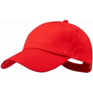 A red cap with a peaked brim and an adjustable strap at the back. It features a branded logo.