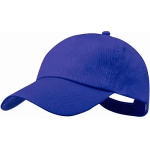 A blue cap with a curved brim and adjustable strap, featuring a branded logo.