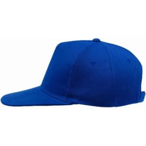 A blue cap with a curved brim and a fitted style. The cap features a seam along the side.