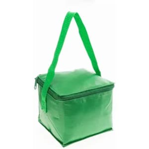 A green insulated cooler bag with a zip closure and a green handle.